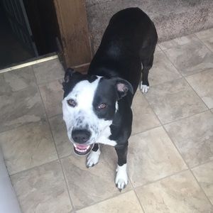 Meet your Posher, Marcemarcell